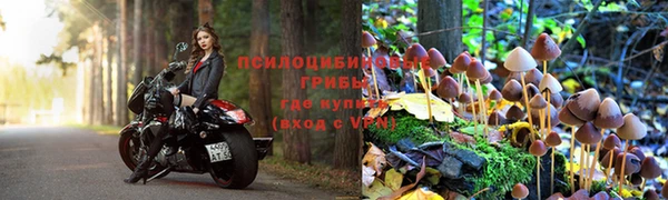 гидропоника Балабаново